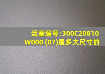 活塞编号:300C20810W000 (07)是多大尺寸的